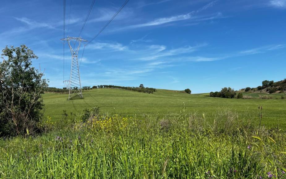TERRENO AGRICOLO  ALTAMURA