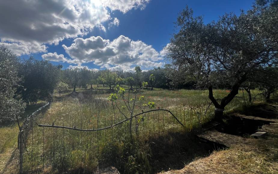 ALTAMURA AGRICULTURAL LAND