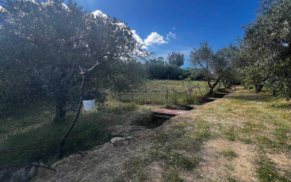 ALTAMURA AGRICULTURAL LAND