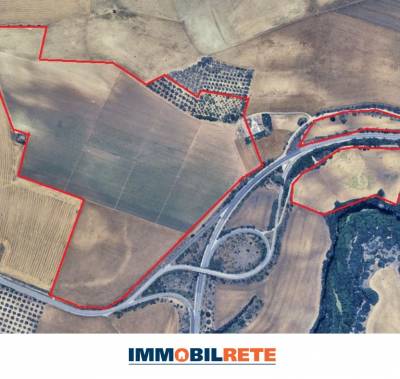 CONTRADA MARINETO - MIGLIONICO