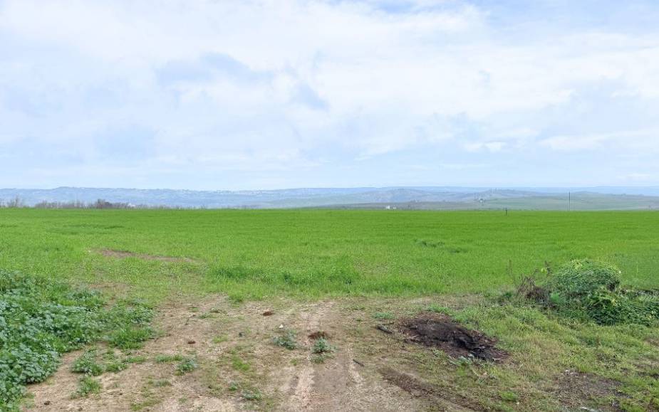 CONTRADA MARINETO - MIGLIONICO